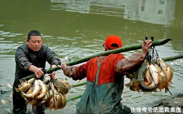 闽北|高手在民间，闽北神奇弓鱼术，能让鱼离水几天不死，是真的吗？