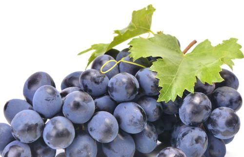 人体|人要想长寿，可以多吃4物，排毒养颜，提到人体抗病能力！