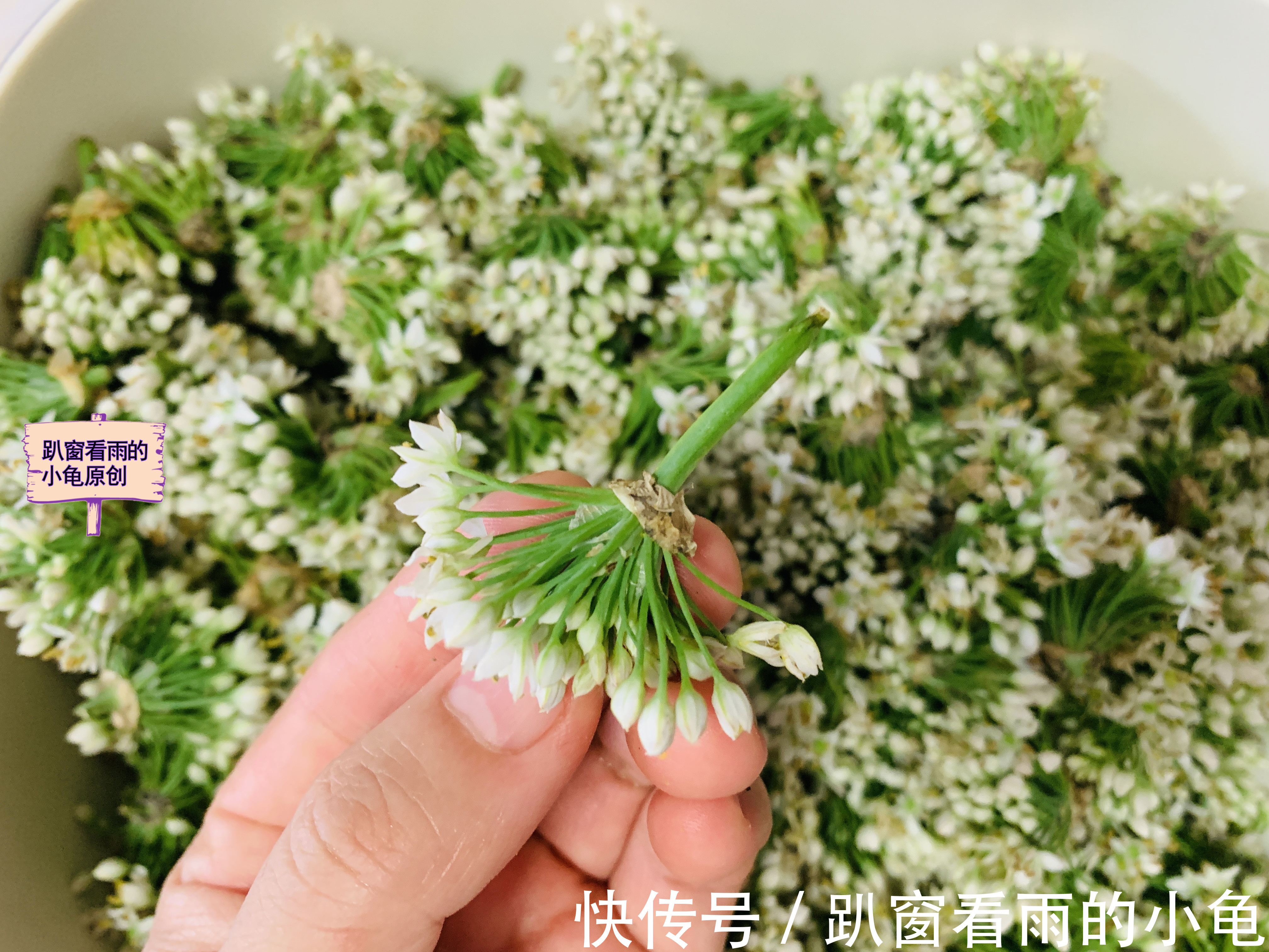 好吃|腌韭菜花,除了放盐,再加入它,韭菜花酱翠绿不变色,黏稠又好吃