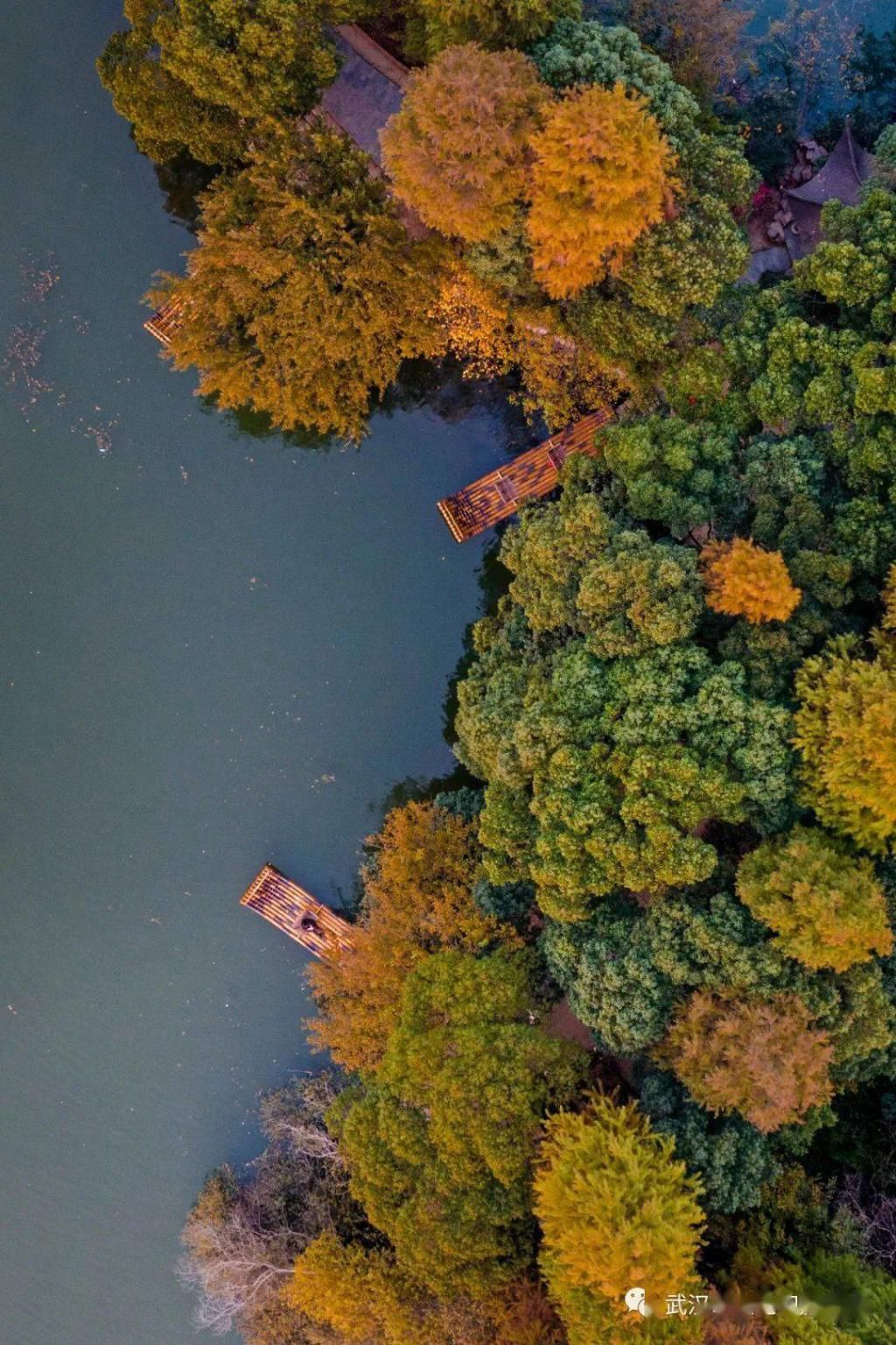 上图片取景|武汉冬景，才不是你想的那样！