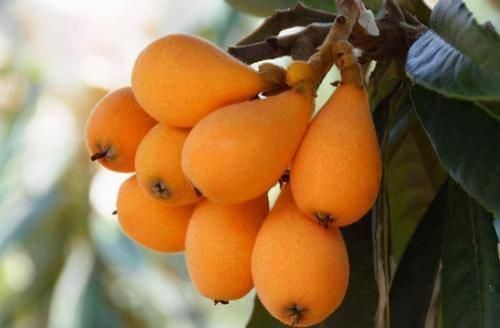 每天晚上坚持吃3种食物,美容养生、延缓衰老,好吃又不贵!