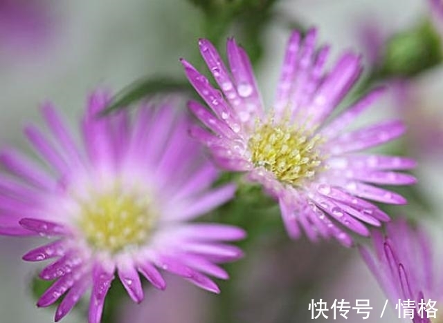 周易·系辞下|易经:一个家庭最大的悲哀,是把这四个秘密,说给别人听