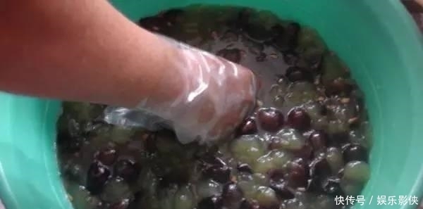 自酿|小妙招,教你在家如何自酿葡萄酒初级方法