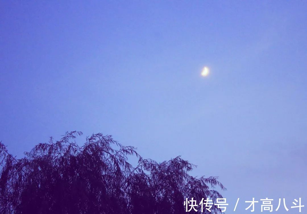 苏轼#风雅诗词:清风明月无人管,并作南楼一味凉!