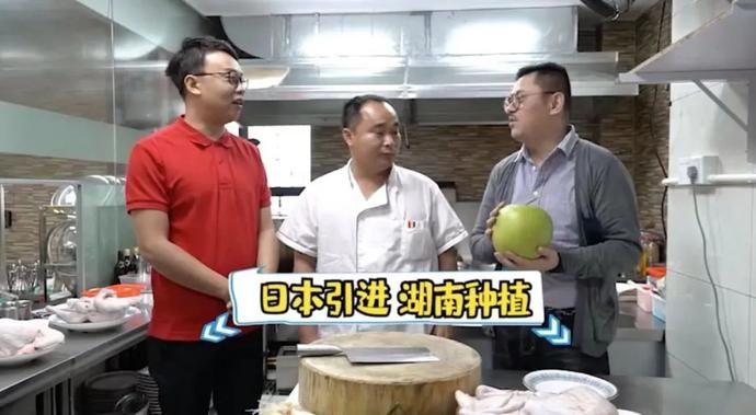 金汤|美食|鸡鸭鹅就要这样吃,寒冷天气里既美味又暖身