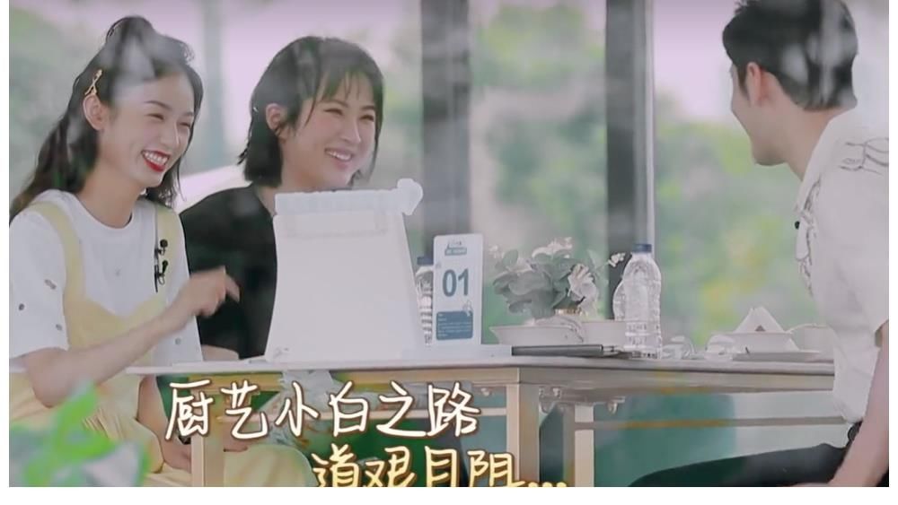 姚安娜|6位嘉賓5位“廚藝小白”，沒有大廚的《中餐廳》，有哪些看點？