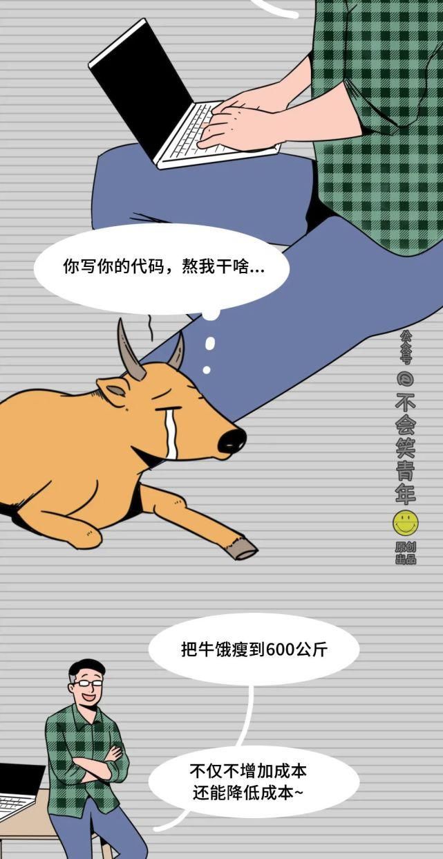 奇葩|华为奇葩面试题：一头牛重800公斤一座桥承重700公斤，请问牛怎么过桥？