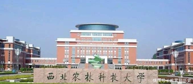 实力|这些大学实力强劲，不仅是重点大学，而且录取分数也很低