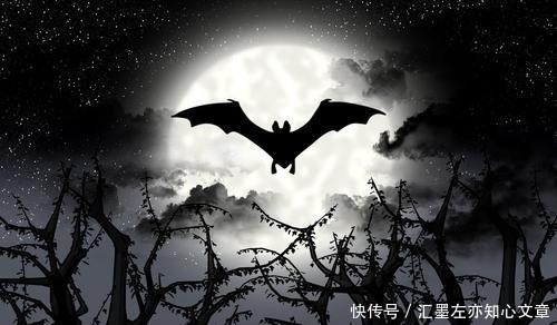 蝙蝠|蝙蝠在古代居然是有吉祥物的意思,又称仙鼠,古人为何喜爱蝙蝠
