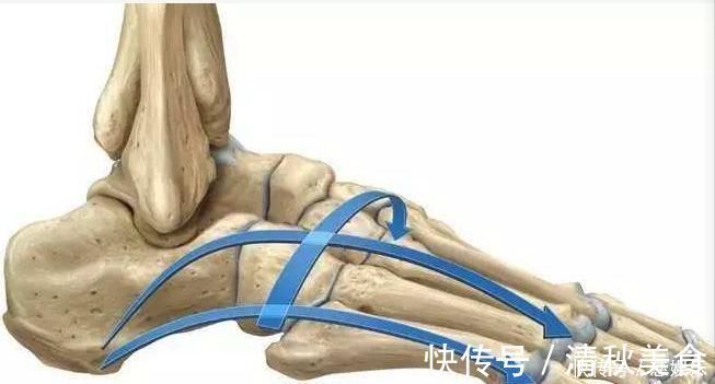 脚部|瑜伽练习如何更稳固5个动作增强足弓,帮助你打好基石