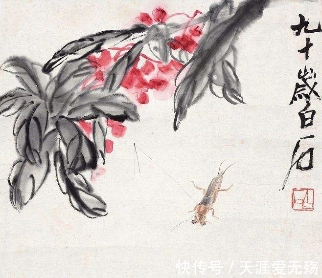 白石老人@欣赏《齐白石画集》,从画中读到满满艺术感