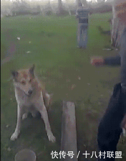 发布会|看完华为Mate40发布会,直觉告诉我这是台会火的“二奶机”