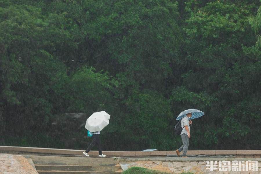 雨中漫步八大关