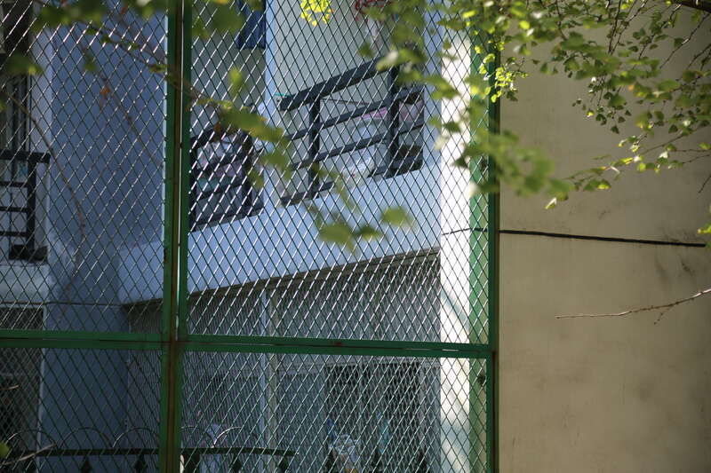 青年眼#青年眼|微捉光影