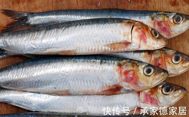 身体|这3种鱼自带“寄生虫”和“重金属”,价格虽便宜,没营养伤身体