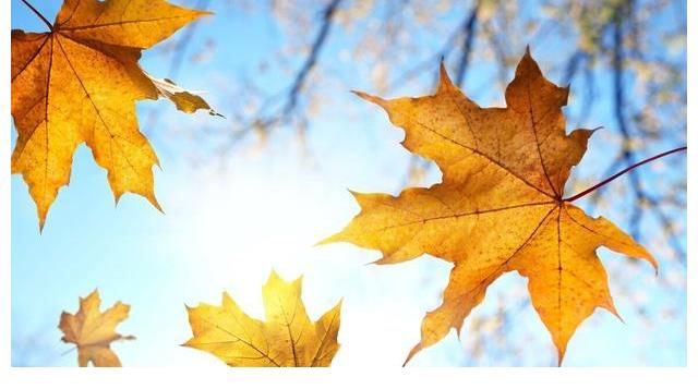 真人秀|真人秀《再见爱人》:依依不舍爱过的人,往往有缘没有份