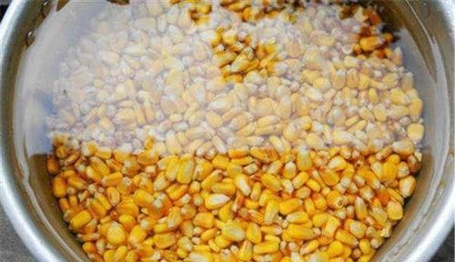 野钓通杀型饵料配方，老坛不止用来做酸菜，还能做酒香玉米！