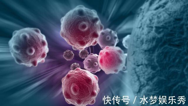 治疗|从癌症晚期到肿瘤消失,仅仅300天,歌手张咪凭什么抗癌成功?