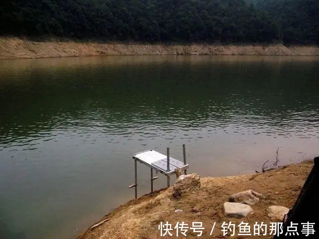 钓位|初春钓鱼“钓友爆护你空军”?别怪钓位没选好,可能是饵料的问题