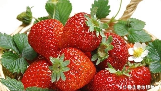 草莓别用水冲，水果店老板教我一招，灰尘和虫卵自动跑出来，学学