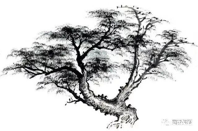 枝干@中国画如何画松树、丛树、柳树、竹林,中国画树的画法大全
