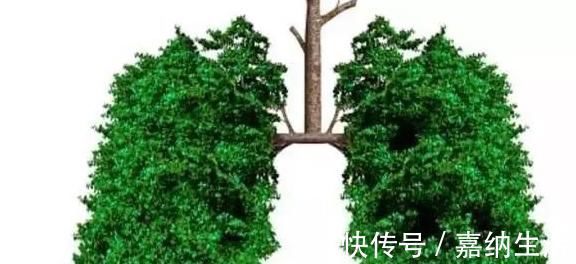 肺部结节|肺部结节遭忽视,两年后检查成变成了肺部肿瘤,谁之过