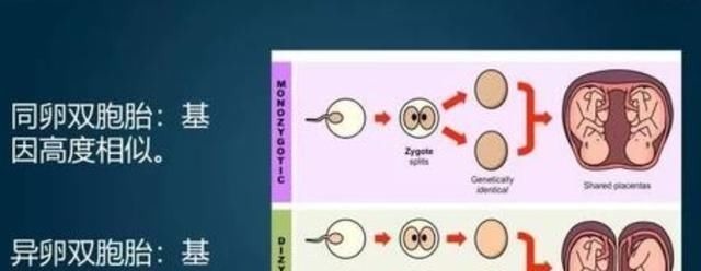 卵子|妈妈生双胞胎“一黑一白”，爸爸要亲子鉴定，医生的话让宝爸后悔