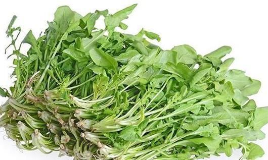 荠菜|女性不想早衰，要常吃此菜，皱纹少了，大肚子平了，皮肤细腻了