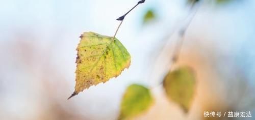 阴历|阴历哪几天出生的孩子,是上等命,孝顺又有出息,早晚出人头地