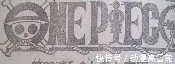 小菊|海贼王962情报:小菊男儿身又实锤,年轻大妈露脸,和女帝谁更美