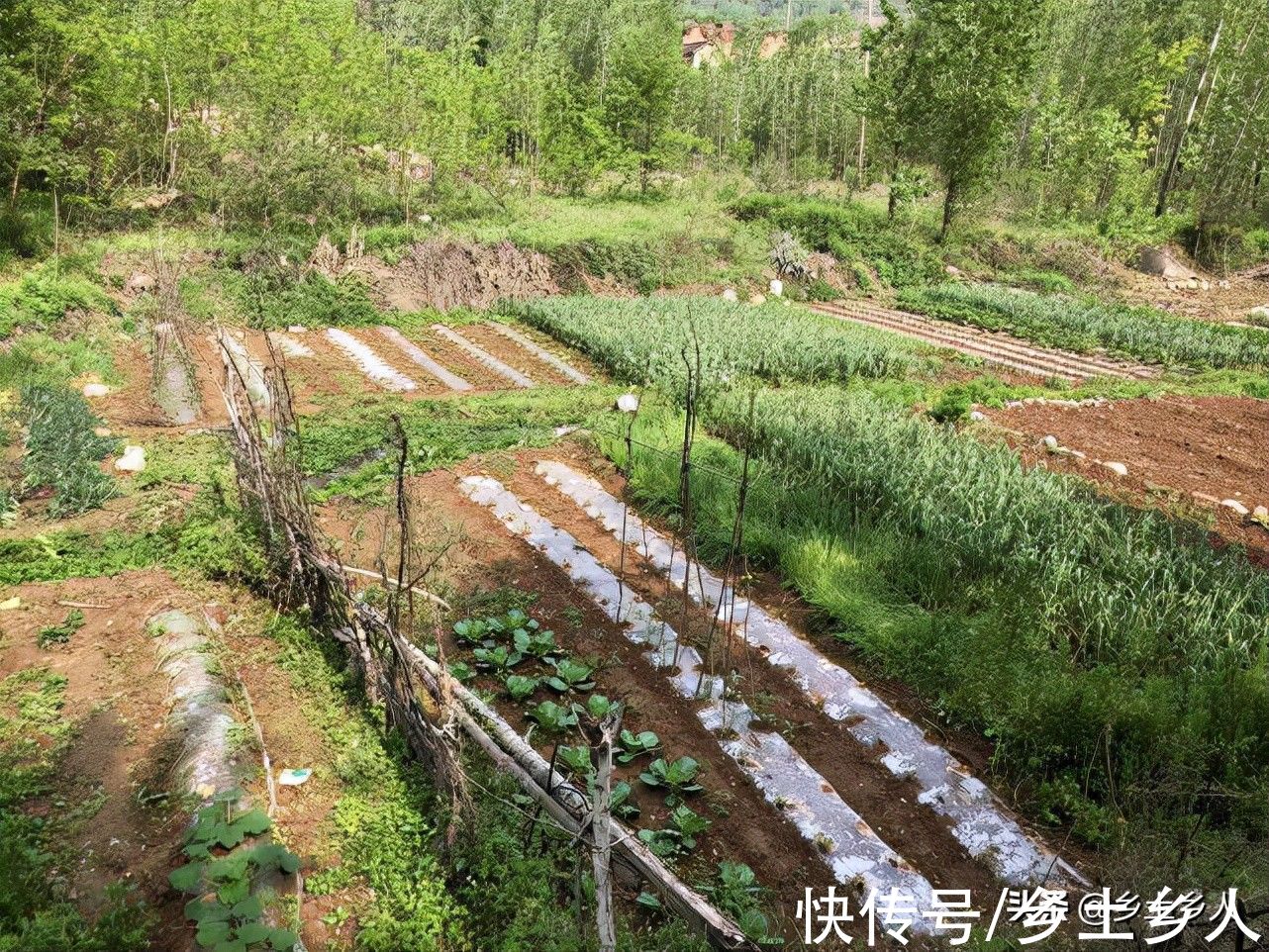 安康|秋分将至,老话说:“秋分一碗汤,四季好安康”,指的是什么汤?