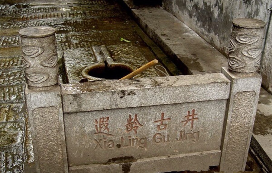 古代人打完井后,为什么要扔俩乌龟下去?看完佩服古人的智慧