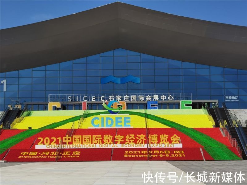 数博会|庄里要开国际大展啦，你看不看？