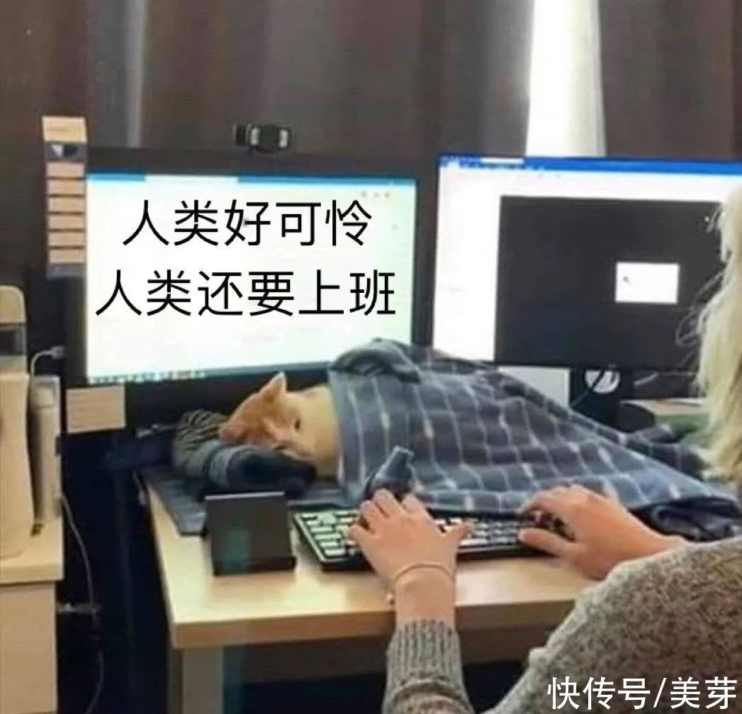 服了！到底什么样的腿才能算美腿啊