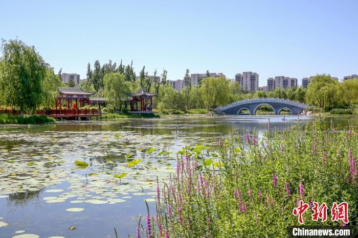 北京延庆野鸭湖入选《国际重要湿地名录》