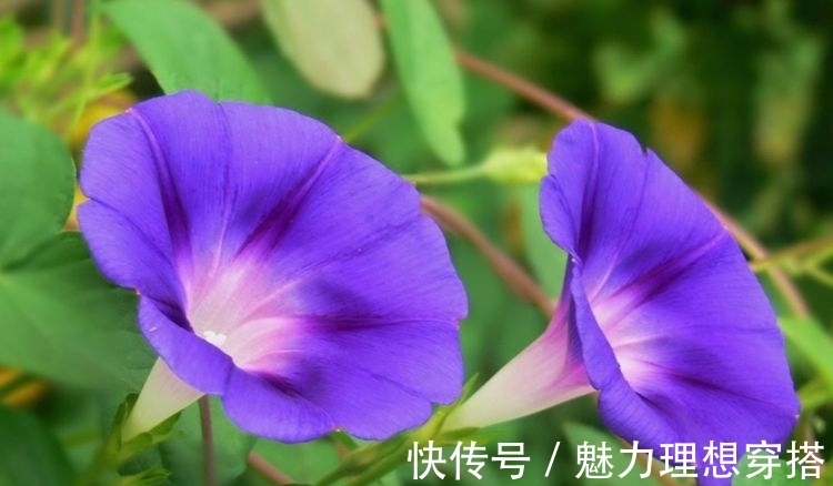 财帛|10月尾3大属相财帛入库,“狗屎运”成真,贵人运旺,非富即贵