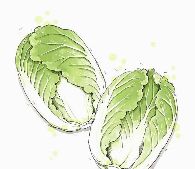 白菜好吃又便宜,却有人越吃身体越差,这4个禁忌一定要知道!