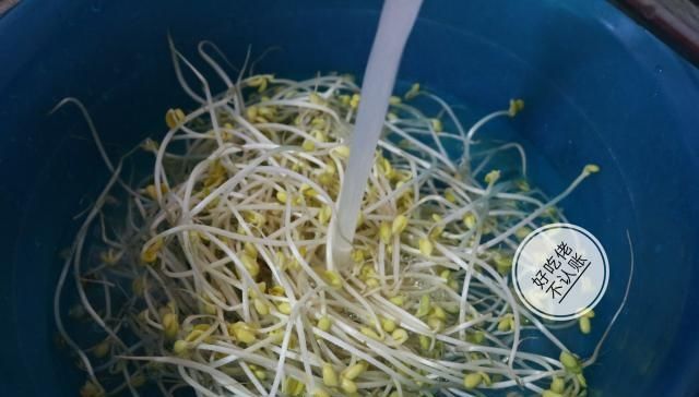 豆芽|做豆芽,多加一个步骤,是很关键的,清脆爽口,也更健康