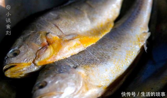 它是“植物黄金”,野外遇到别手软,抓一把煮鱼,比料酒都管用