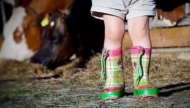 少长|这几个暗号预示孩子进入“猛涨期”,错过少长10公分家长别大意