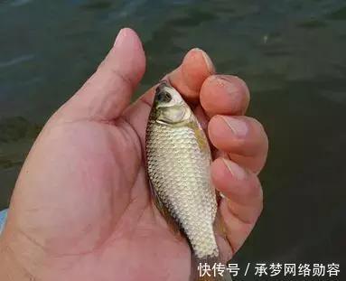 农村小伙钓鱼就是狠,这样打窝,钓鱼钓到手发软