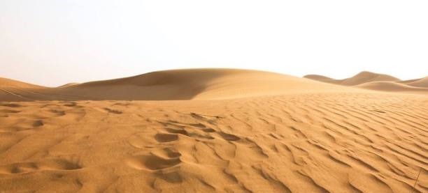 跨越十万里沙漠，只为看一个小水坑，很多人都说不枉此行！