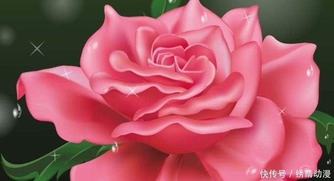 喜欢|心理学:第一眼你最喜欢哪朵玫瑰花,测你最终会嫁给爱情还是金钱