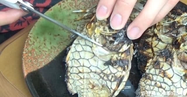 剪刀|小伙网购8条“石头鱼”,太硬连剪刀也治不了,无奈如此处理
