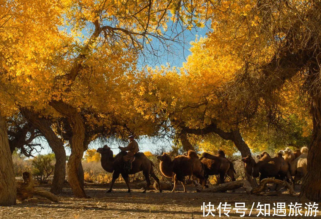 自驾|最值得一去的6处秋景，太美了！短暂的秋季美好，千万别错过