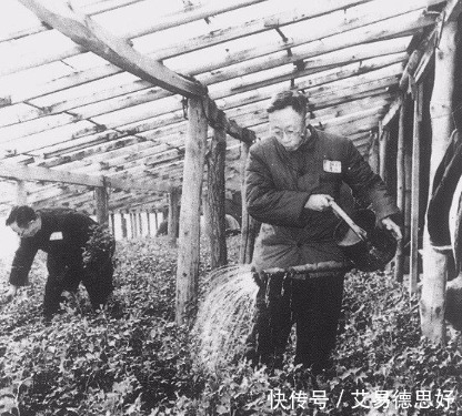 妻子|溥仪不可告人的秘密,直到最后一任的妻子,才得以揭发