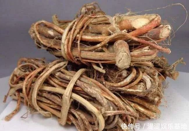 功效|祛湿不只有红豆薏米,这些食材也许更适合你