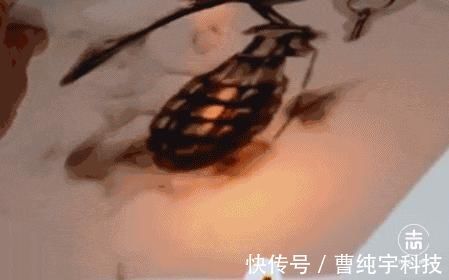 steven$理科生我们不画则已,一画就会让美术生都感到害怕