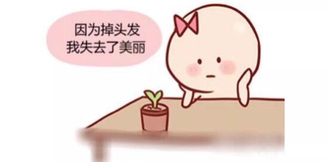 头发|6味中药泡水喝，补气血，白发没了，发量多了，显年轻