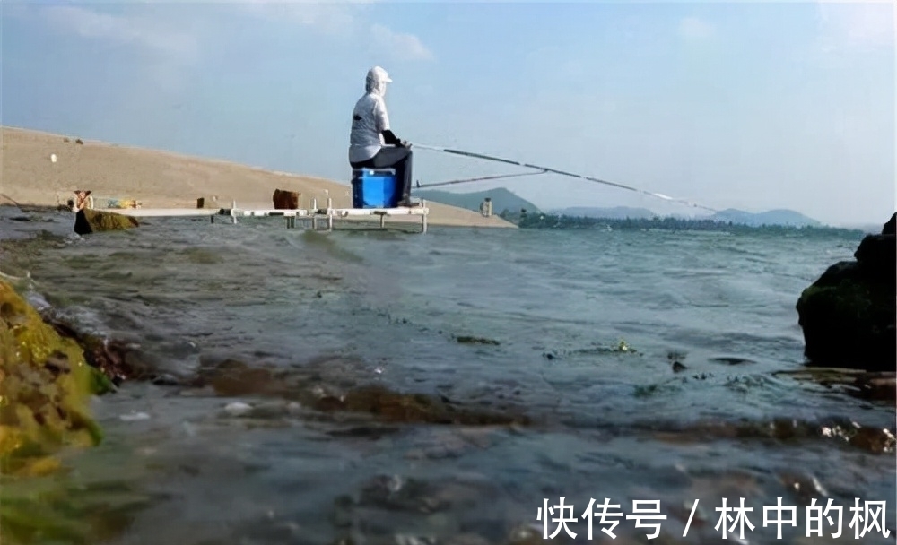 活性|冬季打窝聚鱼慢,发窝迟,不妨试试这三招,鱼口说来就来